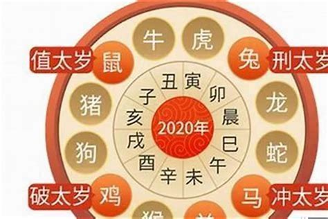 2024年属虎运势|属虎的人2024年全年运程运势